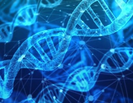 Novo tratamento com DNA pode atrasar a paralisia que atinge quase todos os pacientes com ELA