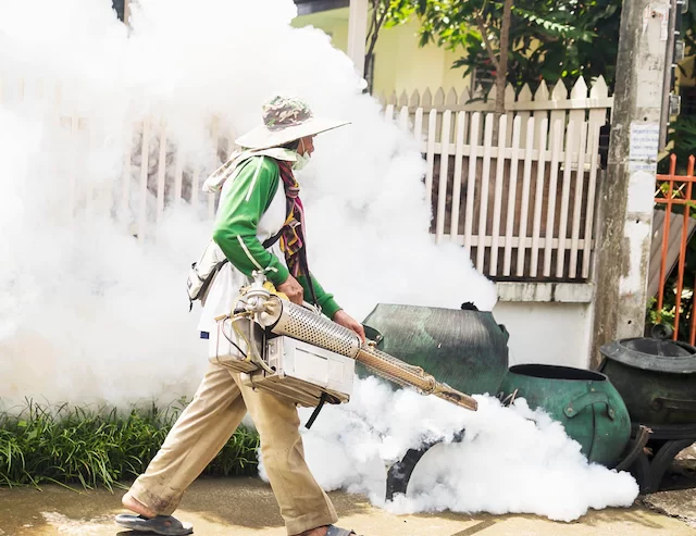 Filariose no Brasil: saiba mais sobre a doença e como combatê-la