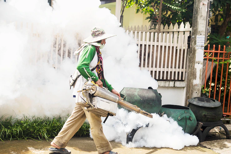 Filariose no Brasil: saiba mais sobre a doença e como combatê-la