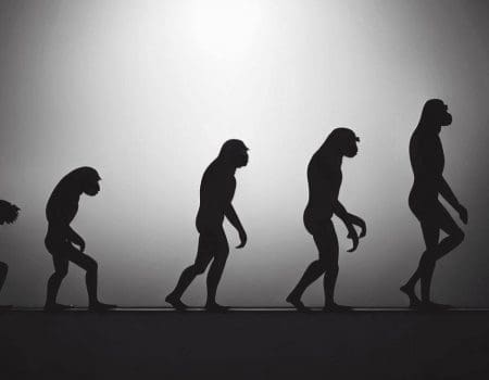 Nova ferramenta ajuda a entender como os humanos evoluíram a partir dos chimpanzés