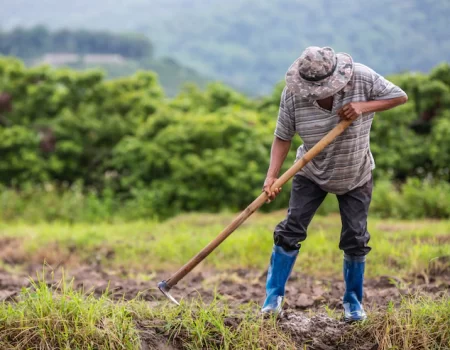 O cientista que defende o modelo brasileiro de agricultura sustentável para a África e outros países