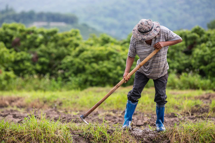 O cientista que defende o modelo brasileiro de agricultura sustentável para a África e outros países