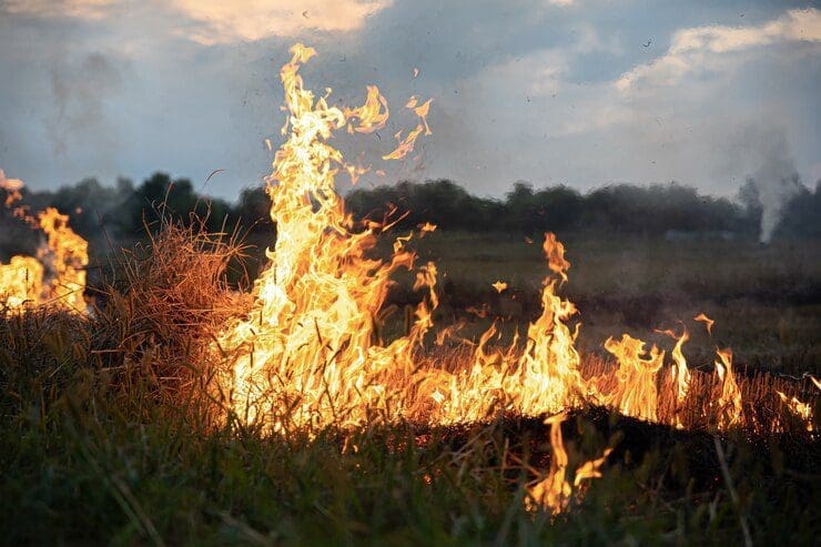 Governo de Minas adota medidas preventivas para combater incêndios florestais antes do período seco