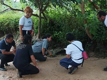 Descobertas arqueológicas revelam urbanismo antigo no Marajó