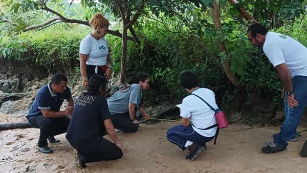 Descobertas arqueológicas revelam urbanismo antigo no Marajó