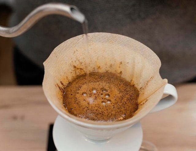 Borra de café é eficaz contra a dengue? Veja o que dizem os especialistas