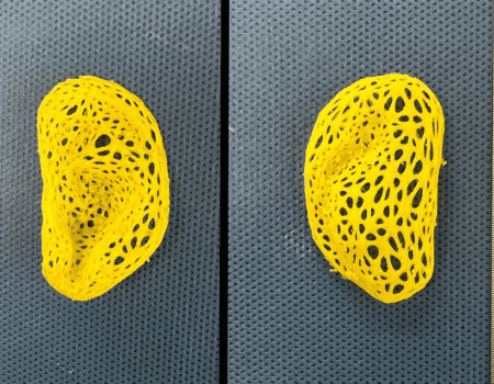 Pesquisadores criam réplica de orelha humana através de impressão 3D