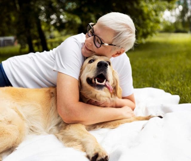 Estudo revela que frequência cardíaca de cães e donos se ajusta em momentos de interação